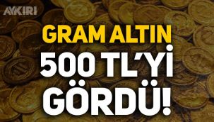 Gram altın 500 TL'yi gördü!