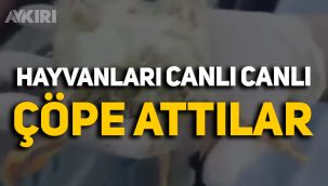Hayvanları canlı canlı çöpe attılar!
