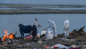Hindistan'da yakılamayan cenazeler Ganj Nehri'ne atılıyor!