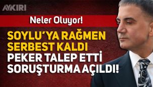 Kutlu Adalı cinayeti ile ilgili soruşturma başlatıldı, Atilla Peker'in ifadesi alınacak