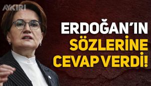 Meral Akşener'den Erdoğan'ın