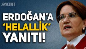 Meral Akşener'den 'Helallik' isteyen Erdoğan'a cevap: Hangi yüzle milletten helallik istiyorsun?