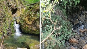 Rize İkizdere'de balık tutulan dere bir gün sonra yok oldu