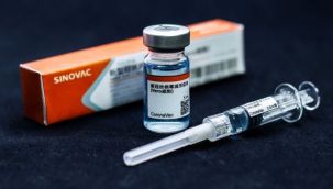 Sağlık Bakanlığı açıkladı: Yeni Sinovac aşıları Türkiye'ye geldi