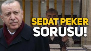 Sedat Peker, Cumhurbaşkanlığı'na soruldu: