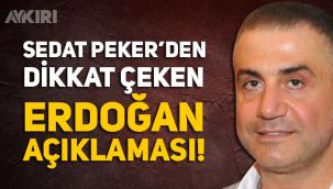 Sedat Peker'den Erdoğan açıklaması: 1999 yılından beri tanışıyoruz