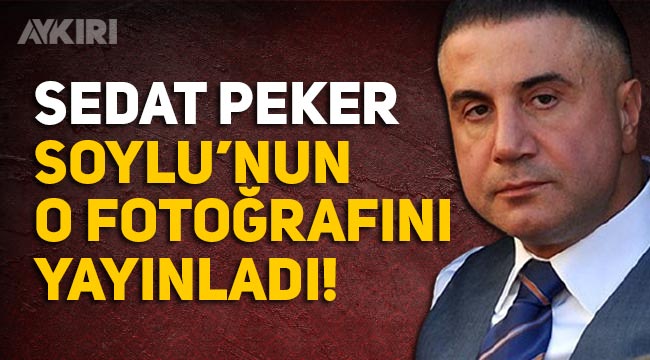 Erdal Aras Kimdir Sedat Peker Erdal Aras In Soylu Ile Fotografini Yayinladi Gundem Aykiri Haber Sitesi