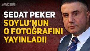 Erdal Aras kimdir? Sedat Peker, Erdal Aras'ın Soylu ile fotoğrafını yayınladı