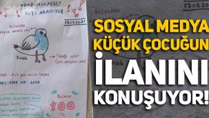 Sosyal medya muhabbet kuşunu kaybeden Rümeysa'nın ilanını konuşuyor