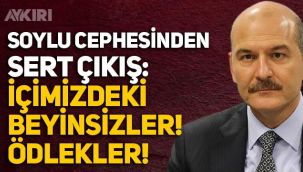 Süleyman Soylu'nun danışmanından ağır sözler: İçimizdeki beyinsizler, ödlekler!