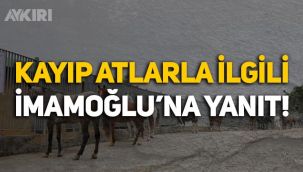 Tarım ve Orman Müdürlüğü'nden Ekrem İmamoğlu'na 'kayıp atlar' cevabı