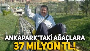 Ankapark'taki ağaç ve çalılar için 37 milyon TL ödenmiş
