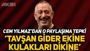 Cem Yılmaz: