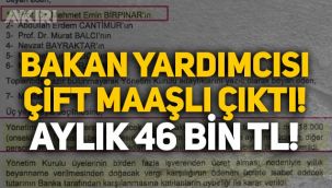 CHP'li Deniz Yavuzyılmaz açıkladı: Bakan yardımcısı da çift maaşlı!