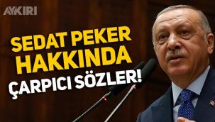 Erdoğan'dan Sedat Peker hakkında çarpıcı sözler!