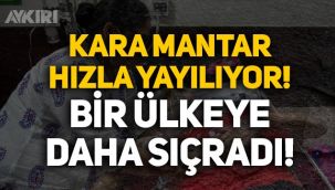 Kara mantar hastalığı nedir? Kara mantar ülkelere hızla yayılıyor!