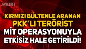 Kırmızı bültenle aranan PKK'lı terörist MİT operasyonuyla etkisiz hale getirildi!