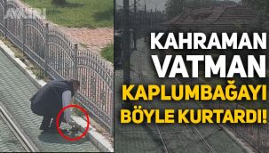Kocaeli'de kahraman Vatman, kaplumbağayı böyle kurtardı
