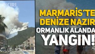 Marmaris'te denize nazır ormanlık alanda yangın!