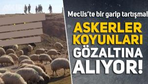 Meclis'te ilginç sözler: 