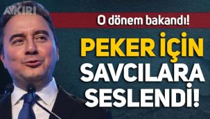 O dönem bakandı: Ali Babacan, Sedat Peker'in iddiaları için savcılara seslendi!