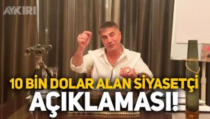 Sedat Peker'den