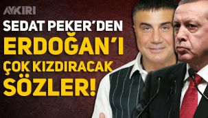 Sedat Peker'den Erdoğan'ı kızdıracak sözler: 