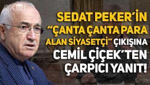 Sedat Peker'in
