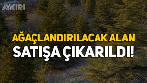 TOKİ, ağaçlandırılacak alanı satışa çıkardı