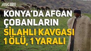 Afgan çobanlar birbirine girdi: Tüfekle öldürdü!