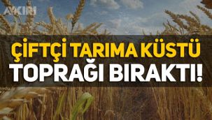 Çiftçi tarıma küstü! Son 1 yılda 46 bin çiftçi toprağı bıraktı