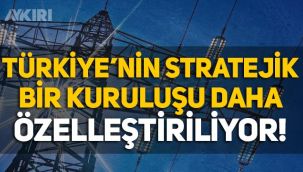 Erdoğan imzaladı: Türkiye'nin stratejik kuruluşlarından TEİAŞ özelleştiriliyor!