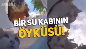 Kapının önüne bir kap su koyunca neler oluyor? İşte bir su kabının öyküsü...