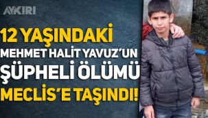 Mehmet Halit Yavuz'un şüpheli ölümü Meclis gündeminde!