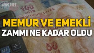 Memur ve Emekli zammı ne kadar oldu, enflasyon farkı maaşlara nasıl yansıyacak