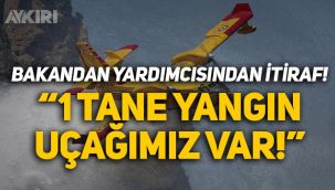 Orman Bakanı Yardımcısı'ndan itiraf gibi açıklama: