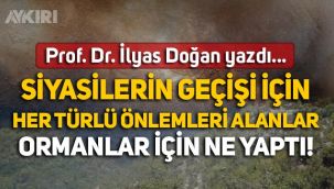 Prof. Dr. İlyas Doğan yazdı: Siyasilerin geçişi için türlü önlemleri alanlar, Ormanlar için ne yaptı