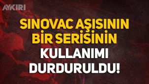 Sağlık Bakanlığı, Sinovac aşılarında bir serinin kullanımını durdurdu!