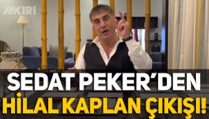 Sedat Peker'den Hilal Kaplan çıkışı!