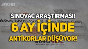 Sinovac araştırması: 6 ay içinde antikorlar düşüyor!