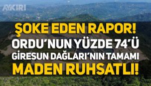 Şok rapor: Ordu'nun yüzde 74'ü, Giresun Dağları'nın tamamı maden ruhsatlı!