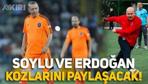 Süleyman Soylu ve Erdoğan, Kıbrıs'ta sahaya çıkıyor: Kozlar paylaşılacak!