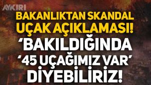 Tarım ve Orman Bakanlığı'ndan skandal uçak açıklaması: