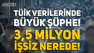 TÜİK'in işsizlik verilerinde büyük şüphe! 3,5 milyon işsiz nerede