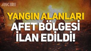 Yangından etkilenen alanlar afet bölgesi ilan edildi!