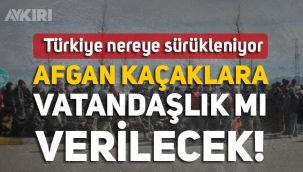 Afgan Kaçaklar vatandaş olabilir mi?