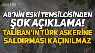 Avrupa Birliği eski temsilcisinden şok açıklama: 