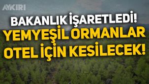 Bakanlık, otel yapmak için kesilebilecek ormanlık alanları uydudan işaretledi!