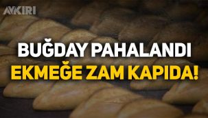 Buğday fiyatları yükseldi, ekmeğe yeni zam gelebilir!