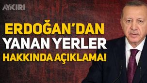 Erdoğan'dan yanan alanlar hakkında açıklama